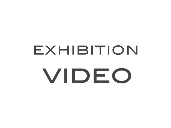 Exhibition Video