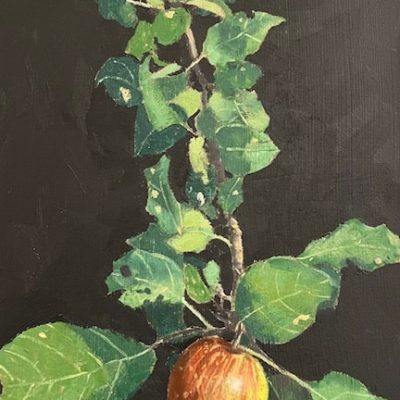 Bill Ciccariello