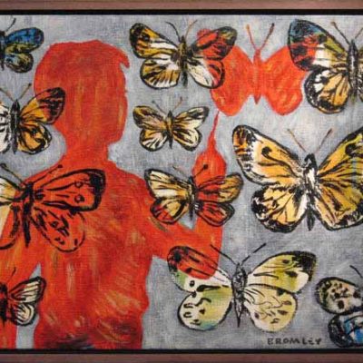 David Bromley Butterflies
