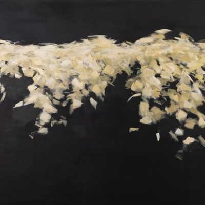Liz Dexheimer