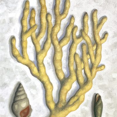 Robert Goldstrom