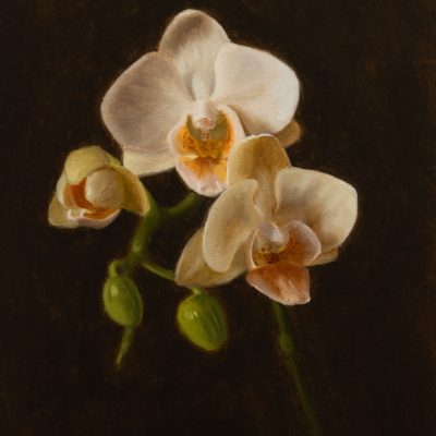 Michael R. Mills